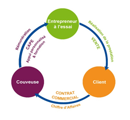 Schéma de l'organisation de la couveuse d'entreprise